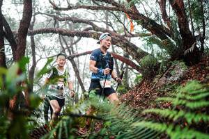 BIB: 
                            <button type="button" onclick="openModal(26297339)" class="btn btn-primary btn-sm float-right btn-popup" data-toggle="modal" data-target=".modal-high-quality">
                        <i class="fas fa-shopping-cart"></i> Add to Cart
                    </button>
                                            <button type="button" onclick="isThisMe(26297339, true)" class="btn btn-success btn-sm float-right btn-popup btn-isme hidden" data-toggle="tooltip" data-placement="bottom" title="นี่คือรูปของคุณใช่ไหม คลิกที่นี่เพื่อเอาเข้าอัลบั้ม">
                        <i class="fas fa-plus"></i> Add to album
                    </button>
                    <button type="button" onclick="isThisMe(26297339, false)" class="btn btn-warning btn-sm float-right btn-popup btn-isnotme hidden">
                        <i class="fas fa-ban"></i> Remove from album
                    </button>